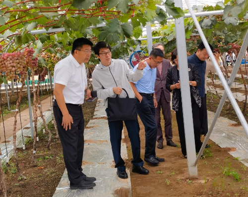 公司党委书记刘广林看望“鲅鱼圈葡萄科技小院”工作学习的公司师生